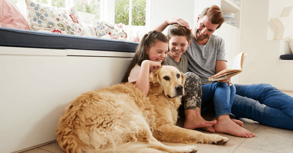 Tenha tranquilidade e segurança para toda família. seguro de vida protege seu pet